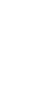 刺身